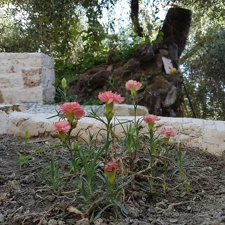 Hébergement de vacances Bohali's House *