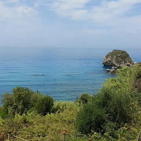 Bohali's House 펜션