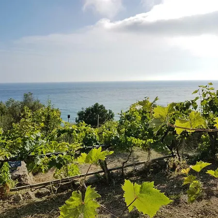 別荘 Bohali's House *