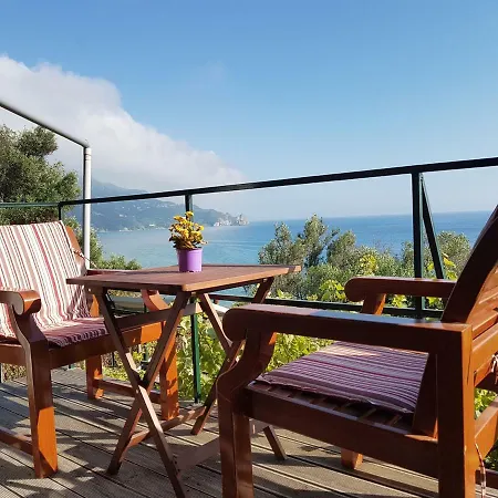 別荘 Bohali's House *