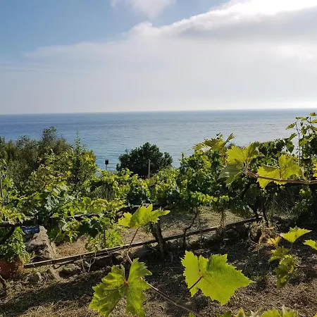 Bohali's House Holiday home *