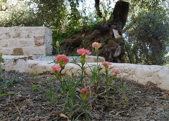 Σπίτι διακοπών Bohali's House *